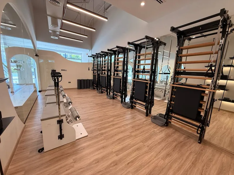 Inside Pilates Academy Arjan, the fuse ladder wall