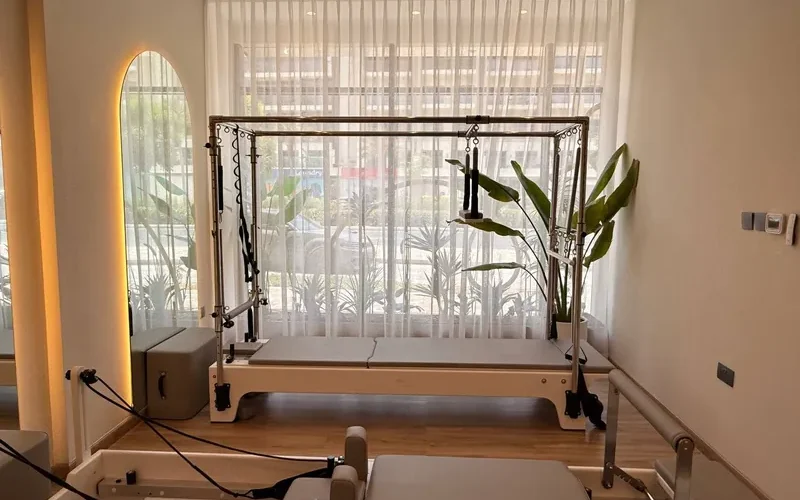 Beyond the Reformer: The Cadillac, Chair and Fuse Ladder