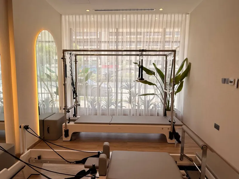 Beyond the Reformer: The Cadillac, Chair and Fuse Ladder
